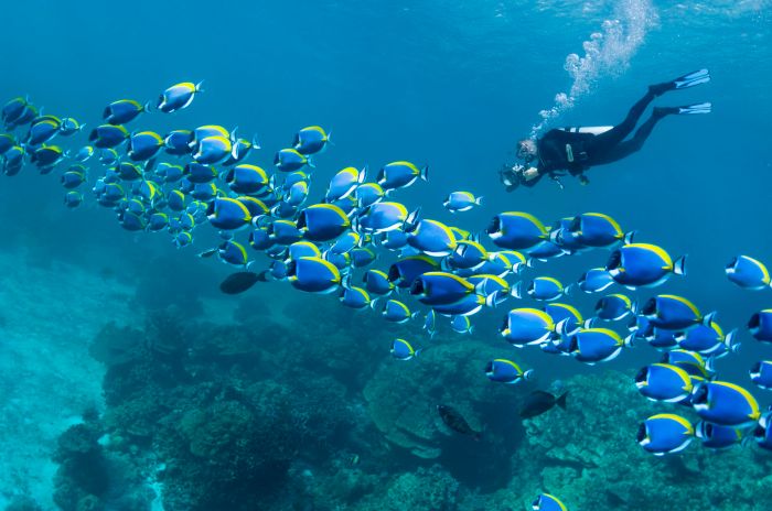 Scuba diving locations