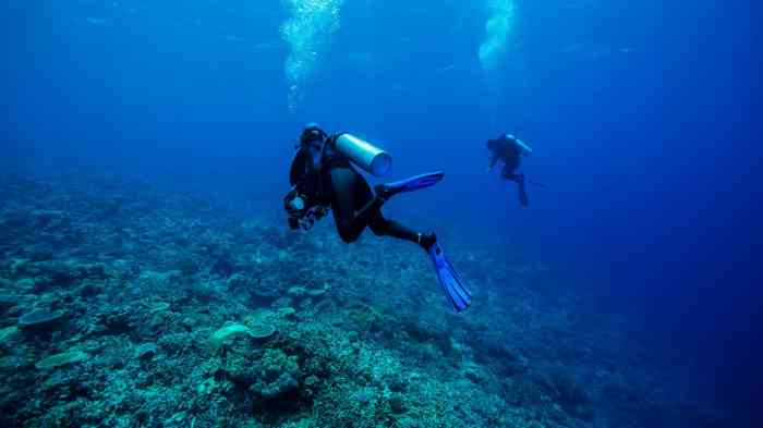 Scuba spots sea