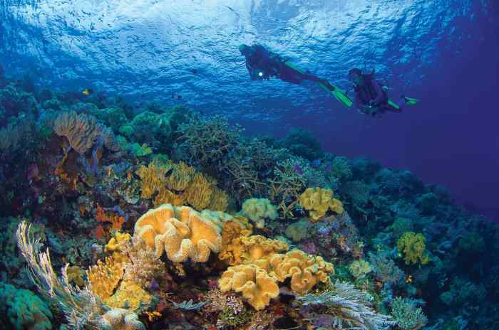 Tubbataha reefs palawan cuyo sulu archipelago panay atolls unesco classified